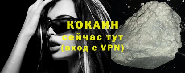твердый Абаза