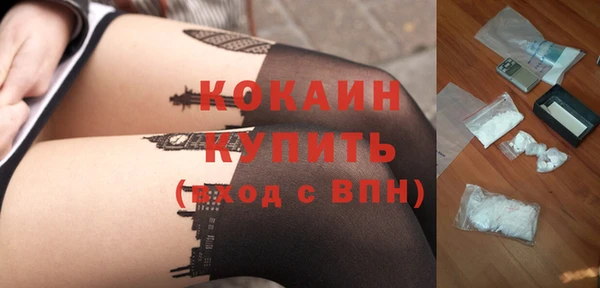 твердый Абаза