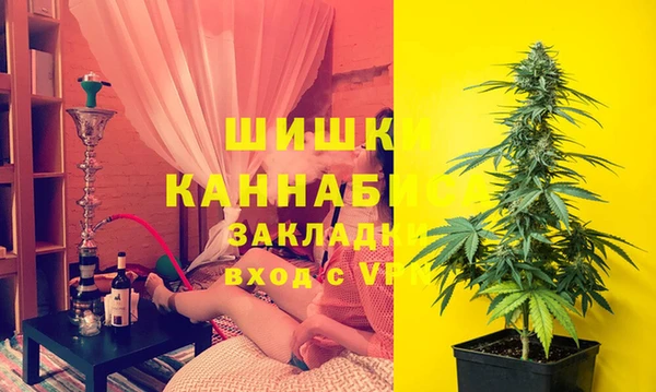 твердый Абаза