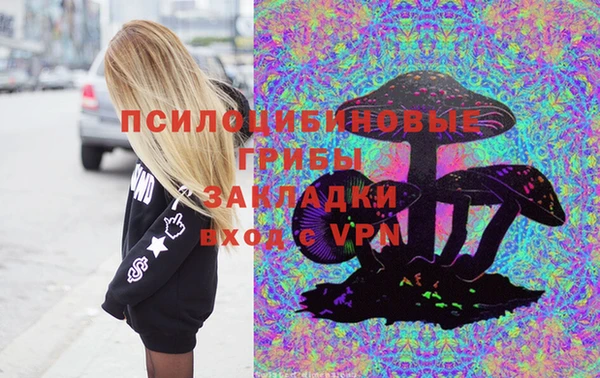 твердый Абаза