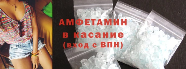твердый Абаза